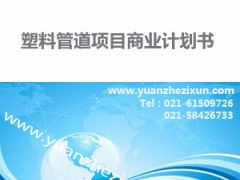 專業(yè)項(xiàng)目投資融資計(jì)劃書(shū)撰寫(xiě)服務(wù) 中英文版本與全方位咨詢支持